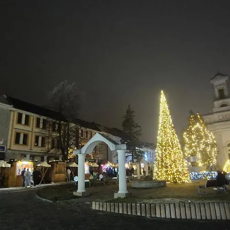 Nissi Apartament *